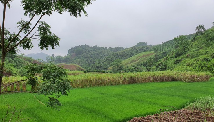 Tại Cao Phong đang có lô đất đẹp giá rẻ cần nhượng lại cho ai đang cần